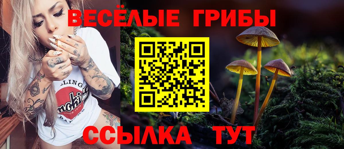 Малгобек  Псилоцибиновые грибы прущие грибы  дарнет шоп  Вход с VPN  Псилоцибиновые грибы Psilocybe 
