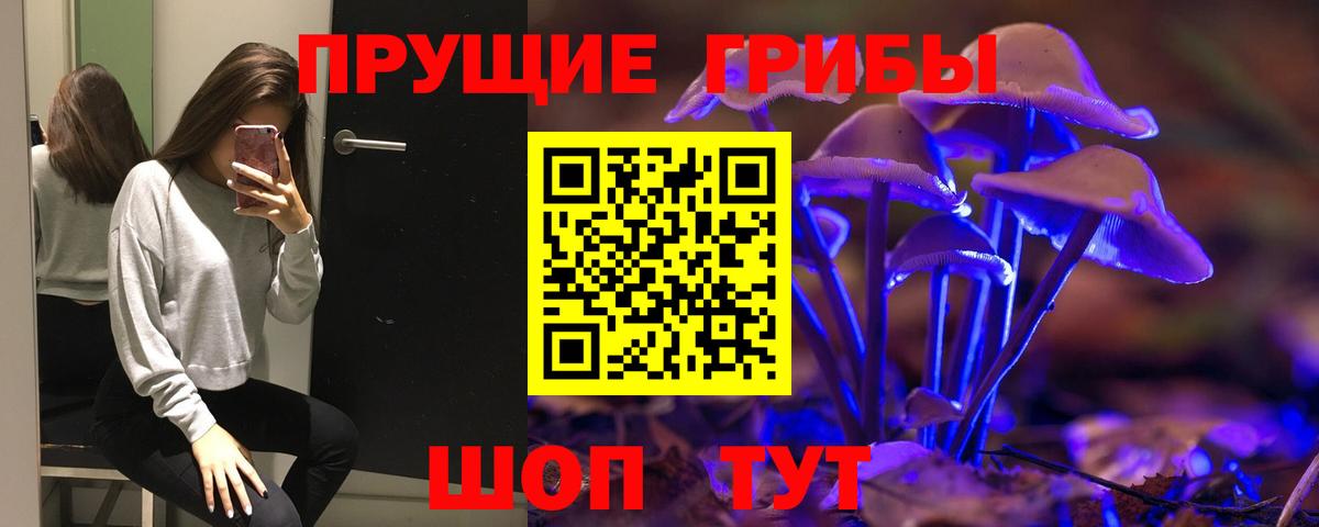 Псилоцибиновые грибы Малгобек